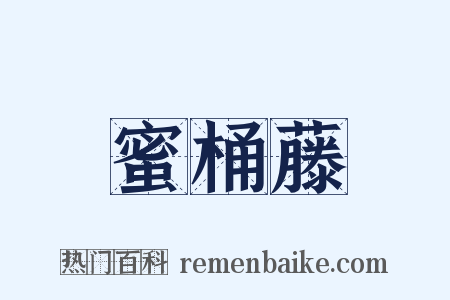 蜜桶藤是什么意思的图片